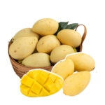 xoai_cat_chu_c73db2f8610c487fa7c78fed8caf9b1c_grande